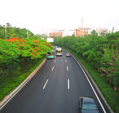 深圳市政道路园林绿化施工